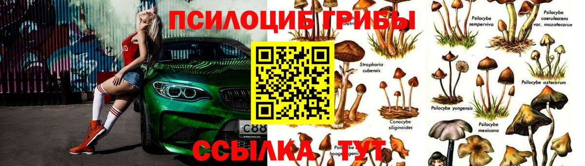 Псилоцибиновые грибы Magic Shrooms  Вход с VPN  Саранск  Галлюциногенные грибы мухоморы 